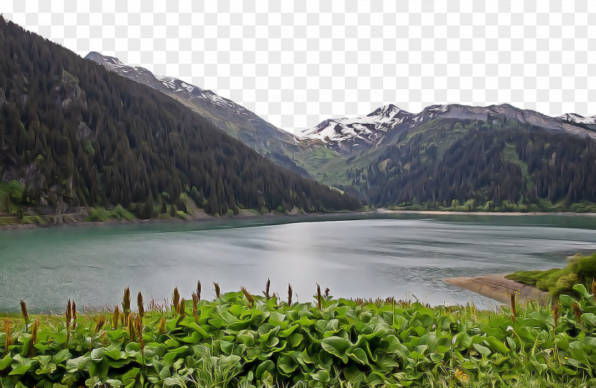 Mount Scenery Crater Lake Fjord District Lough PNG