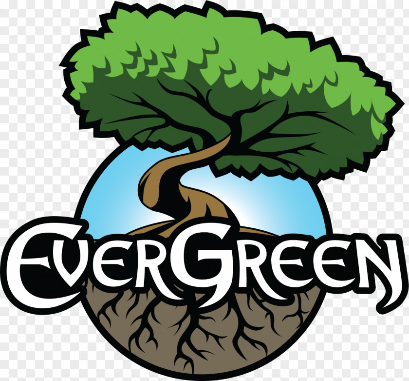 Nurture Life Tree Evergreen Logo Game PNG