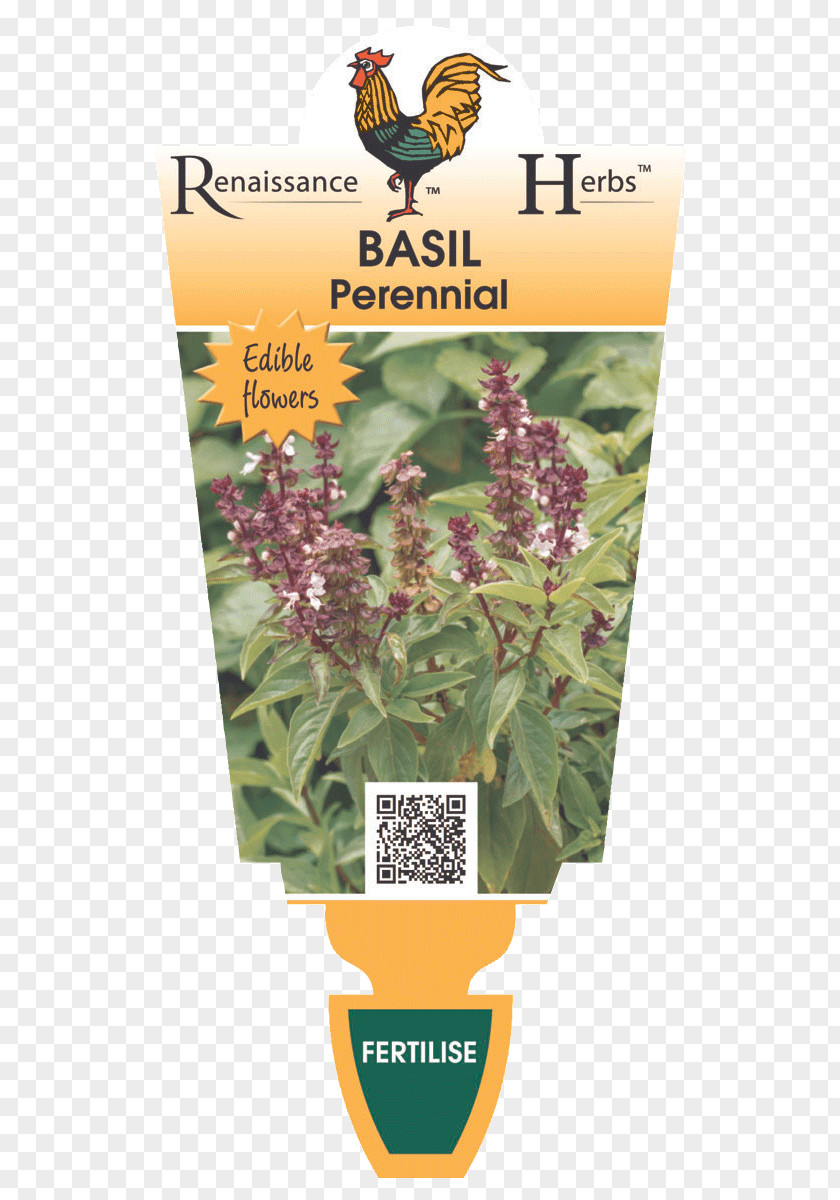 Sweet Basil Lavender Herbalism Laser Pollinator PNG