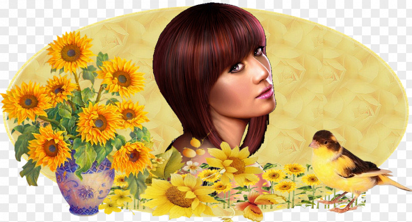 Design Common Sunflower Floral Transvaal Daisy Hair Coloring PNG