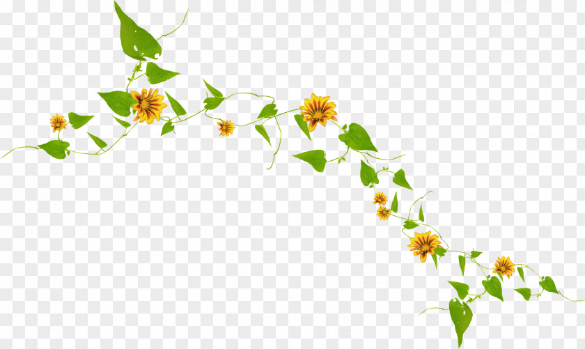 Elements Flower Wreath Twig Garland PNG