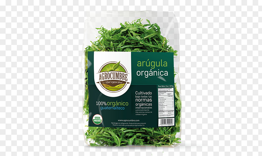 Roquette Leaf Vegetable Herb Natural Foods PNG