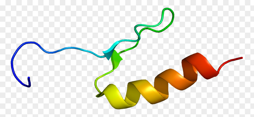 Sp3 Transcription Factor Protein Sp1 PNG
