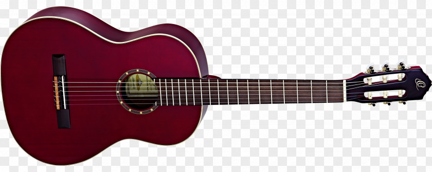Amancio Ortega Ukulele Acoustic-electric Guitar Musical Instruments Dean Guitars PNG