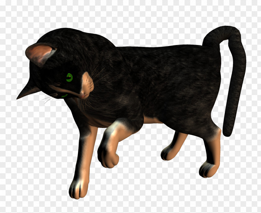 Dog Black Cat Whiskers PNG
