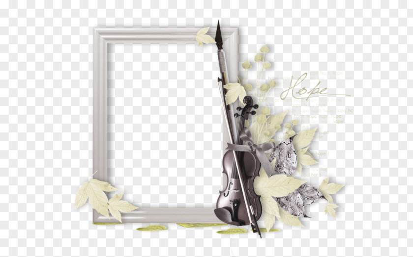 Encadrement Picture Frames Image Painting GIF PNG