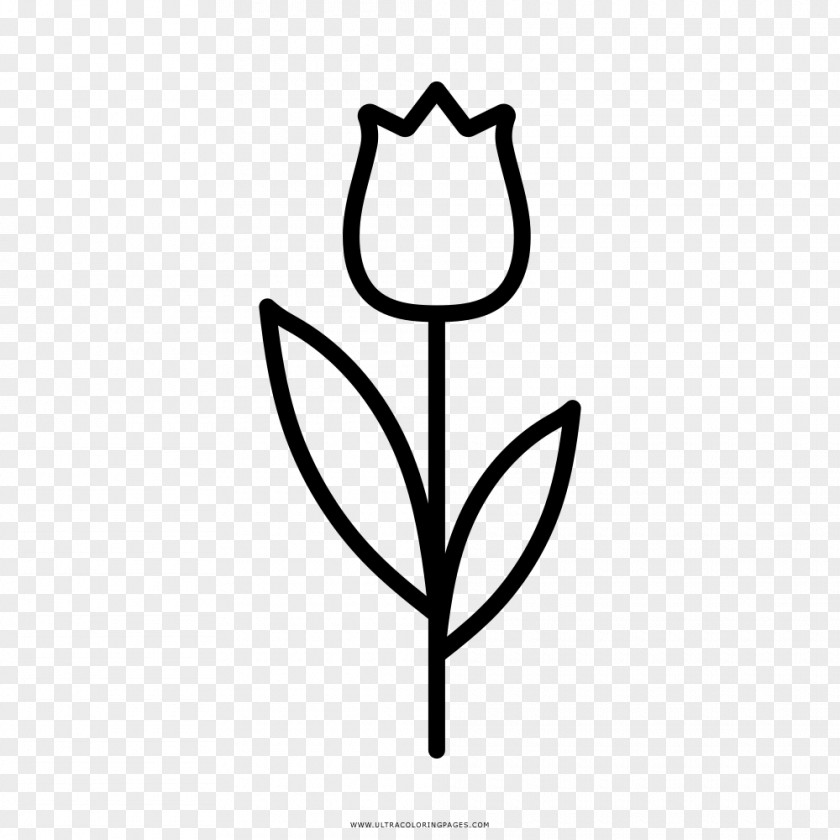 Flower Tulip Coloring Book Drawing Painting PNG