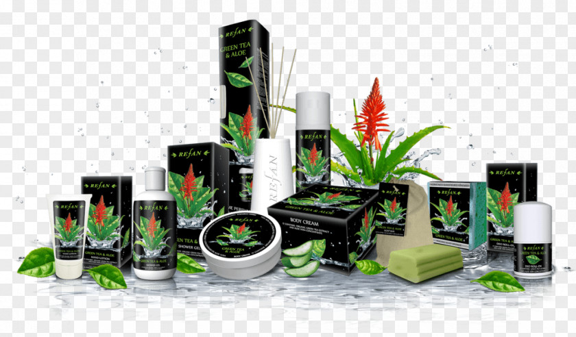 Green Tea Refan Bulgaria Ltd. Cosmetics Plant PNG