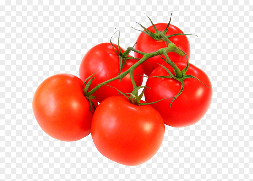 Pant Chutney Cherry Tomato Vegetable Fruit Ingredient PNG