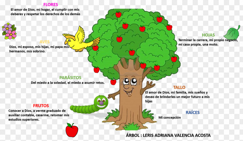 Tree Of Life Web Project PNG