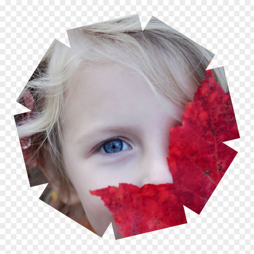 Book Review Child E-book Picture PNG