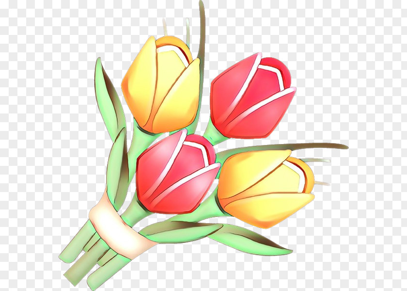 Bud Plant Flowers Background PNG