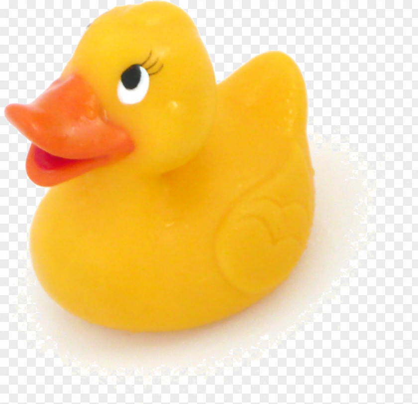 Duck Peking Rubber Goose German Cuisine PNG