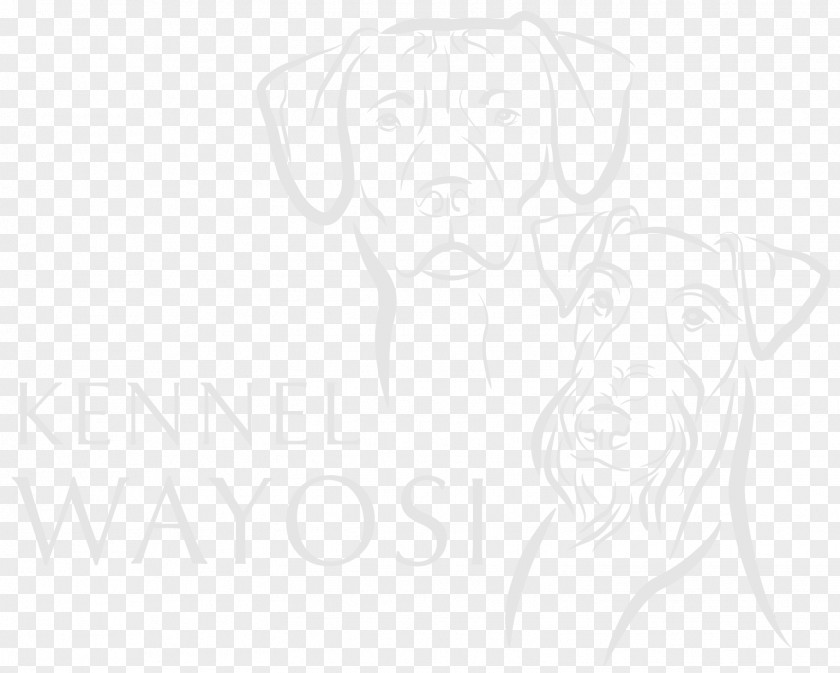 Puppy Dog Breed Line Art Sketch PNG