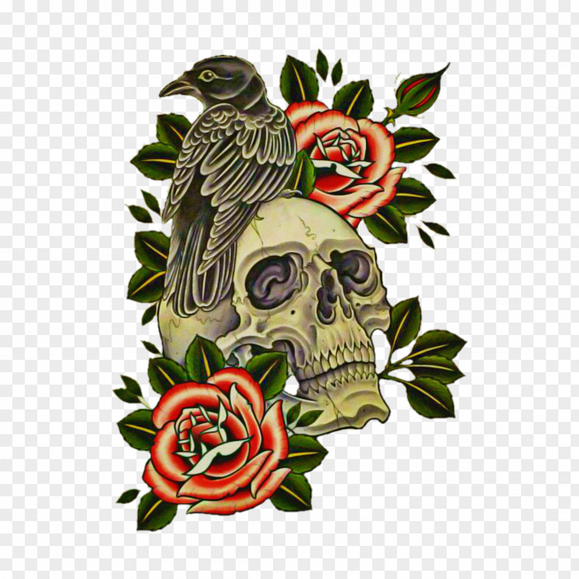 Rose Family Cuckoo Human Skull Drawing PNG