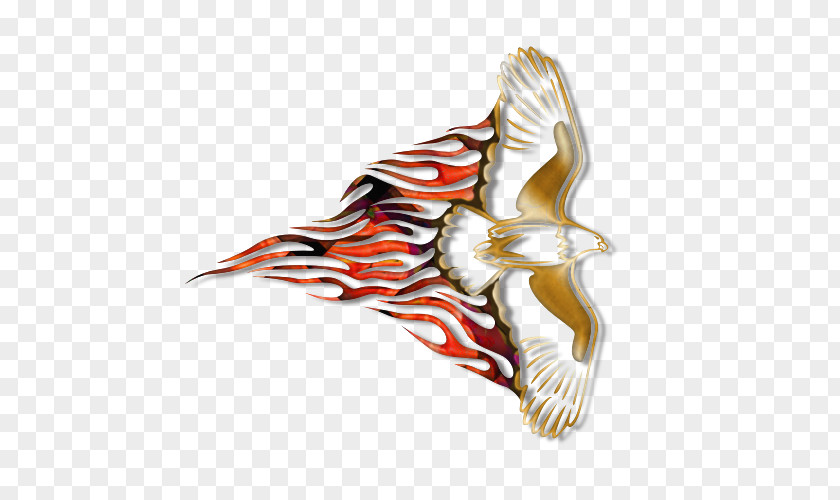 Bird Of Prey Beak Eagle Clip Art PNG
