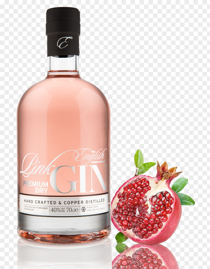Gin Fizz Pink And Tonic Distilled Beverage Pomegranate Juice PNG