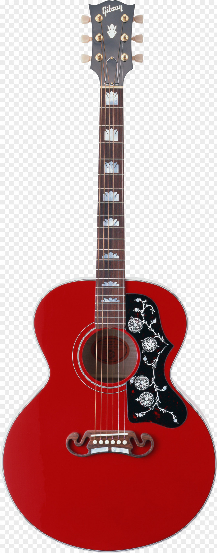 Guitar Image Acoustic Computer File PNG