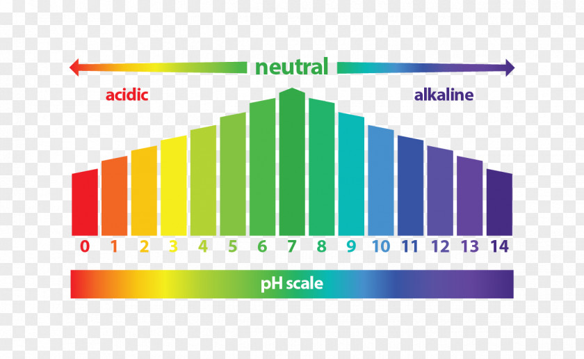 Healing Fibroids A Doctor's Guide To Natural Cur Diagram PH Universal Indicator Alkaline Diet Acid PNG