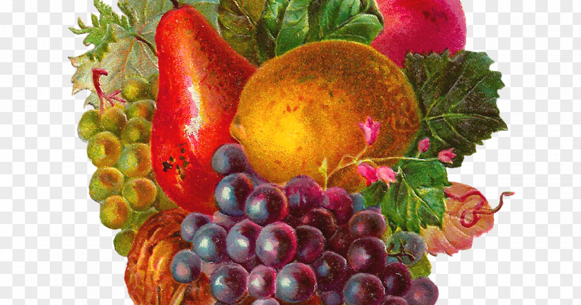 Mix Fruit Common Grape Vine Vintage Clothing Apple Clip Art PNG