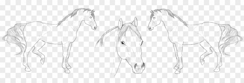 Mustang Mane Halter Pack Animal Sketch PNG