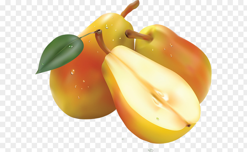 Pear Clip Art Transparency Image PNG