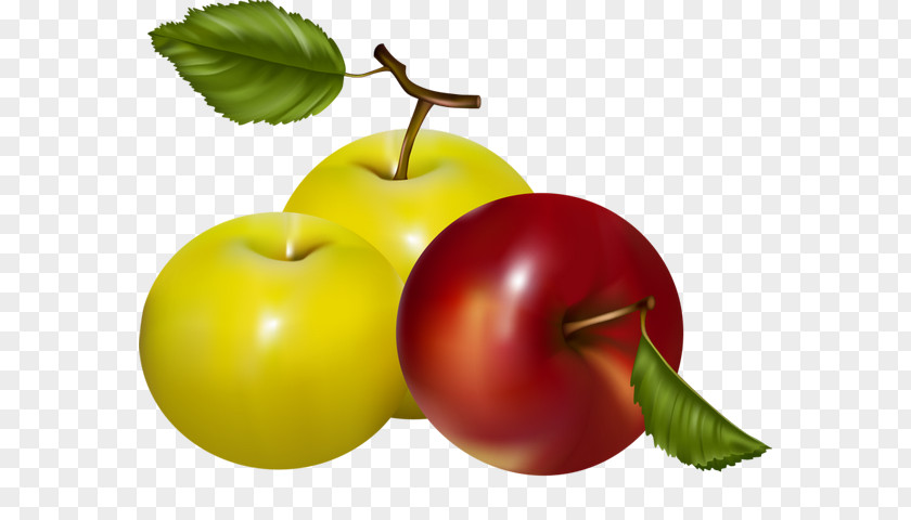 Apple Royalty-free PNG
