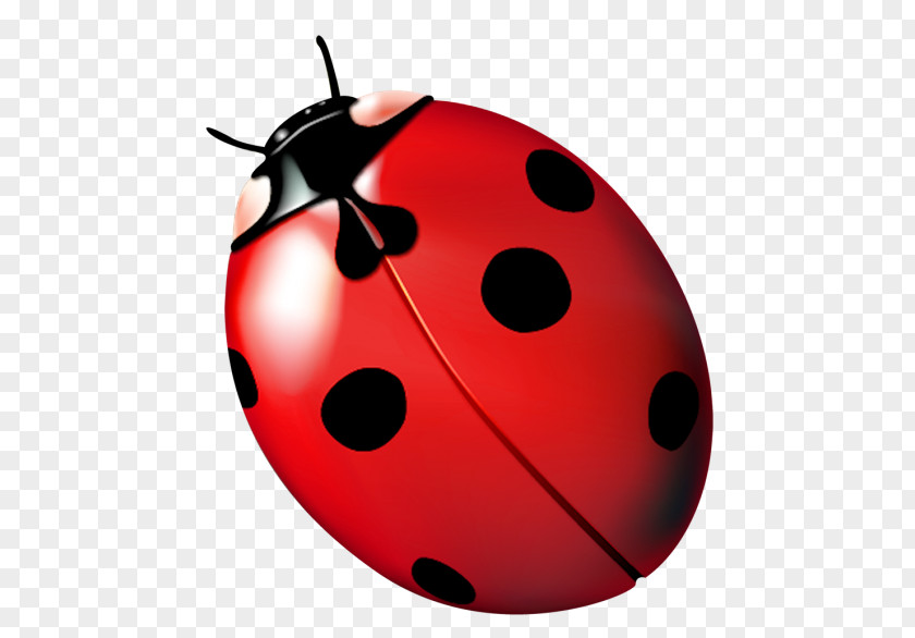 Beetle Web Browser Baidu Wangpan PNG