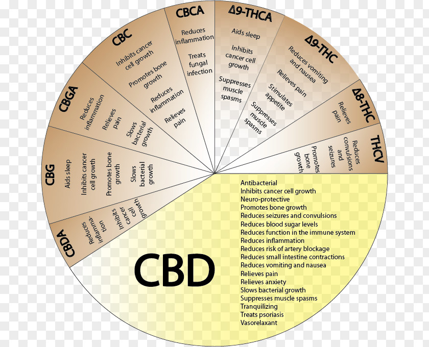 Cannabis Cannabidiol Effects Of Cannabinoid Medicine PNG