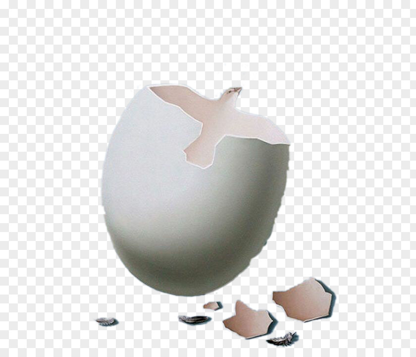Creative IllustrationDove And Egg Shell Chicken Google Images PNG