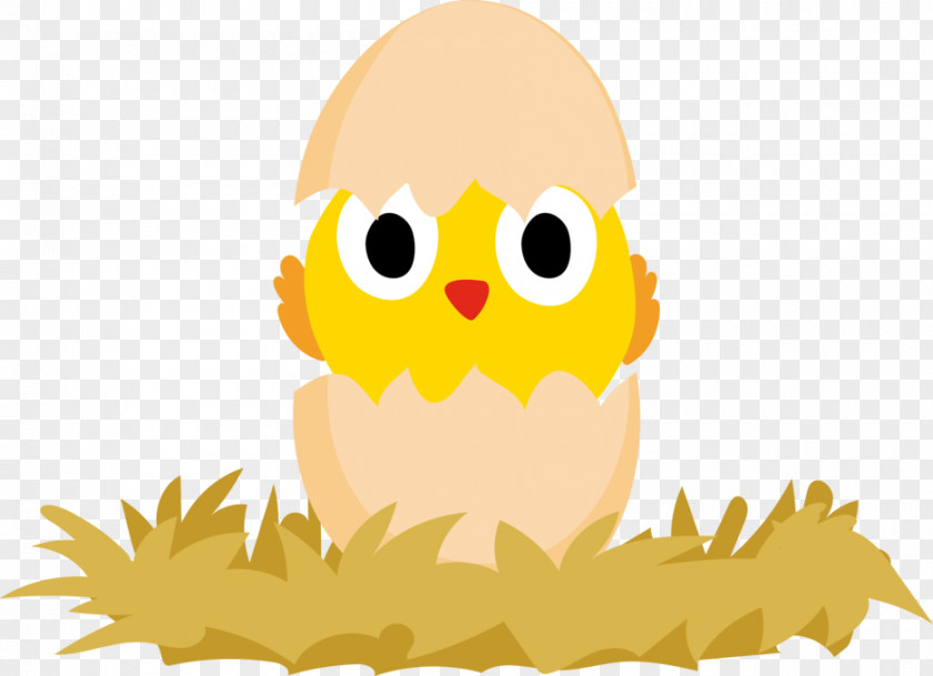 Cute Chick Chicken Egg Animation PNG