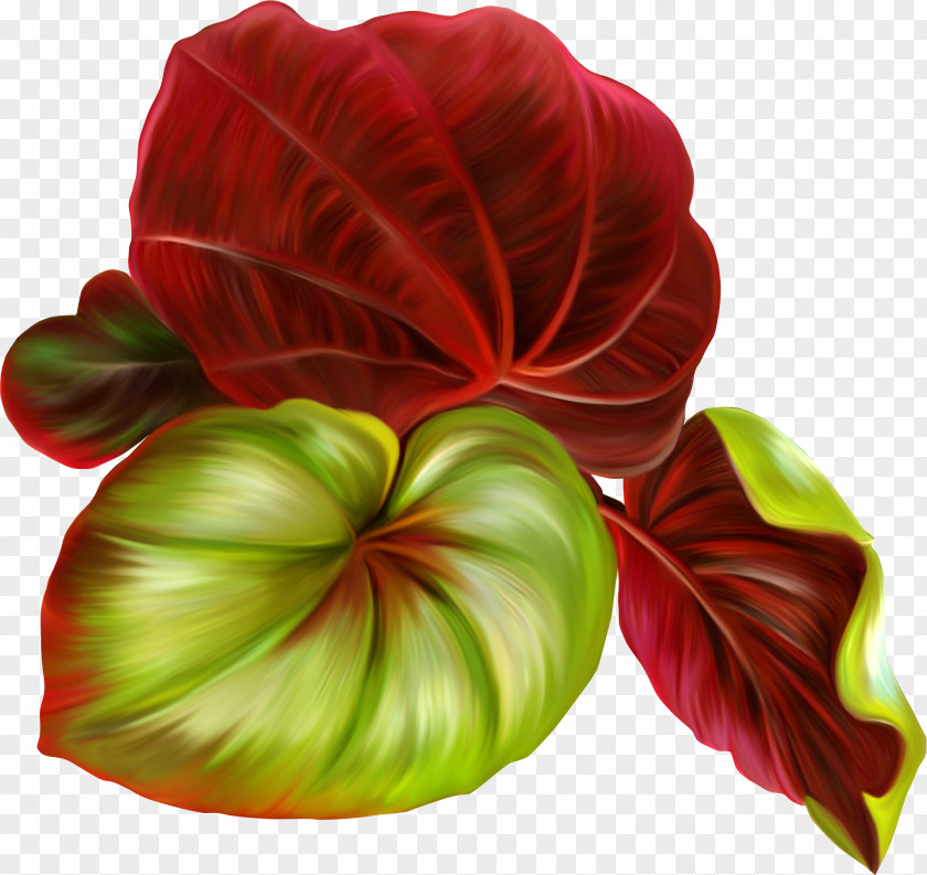 Hand Painted Leaf Raster Graphics Clip Art PNG