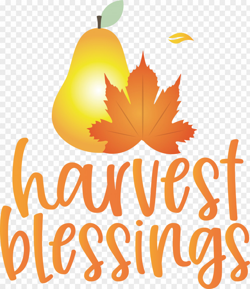 Harvest Autumn Thanksgiving PNG