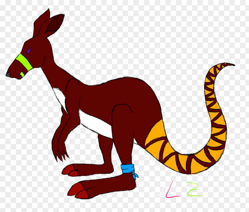 Kangaroo Macropodidae Marsupial Mammal Animal PNG