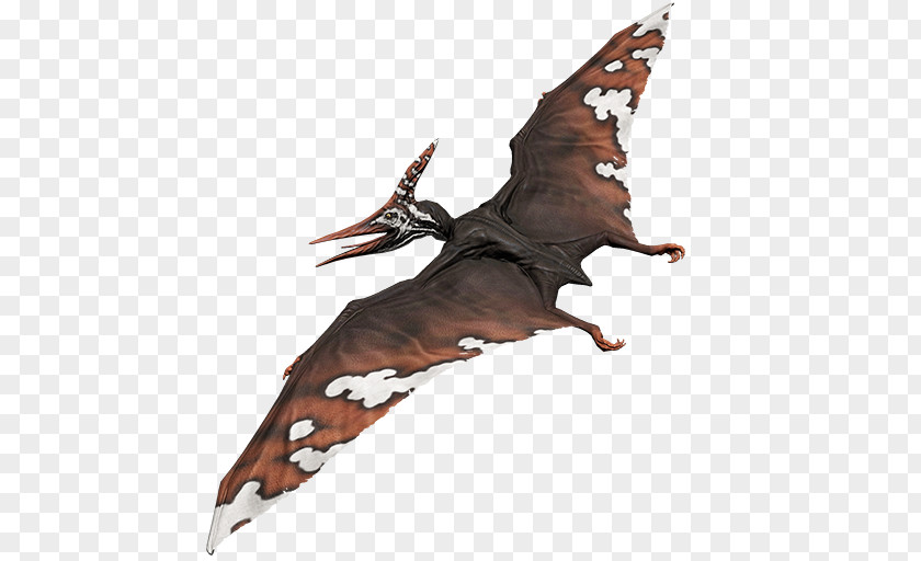Primal Carnage: Extinction Wing Feather Steam Community PNG