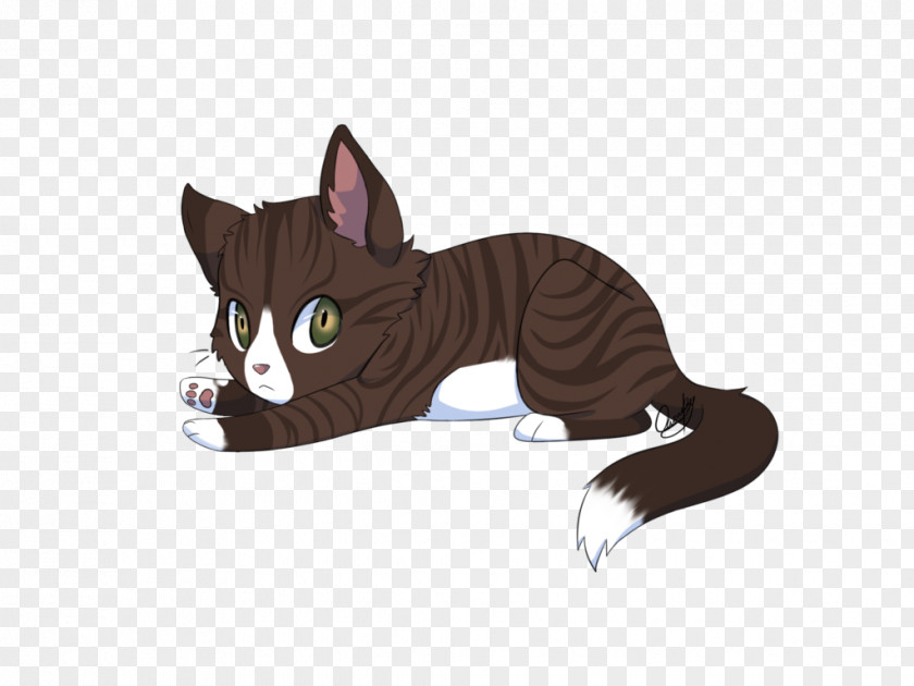 Tuxedo Cat Drawings Eyes Whiskers Tabby Domestic Short-haired Black PNG