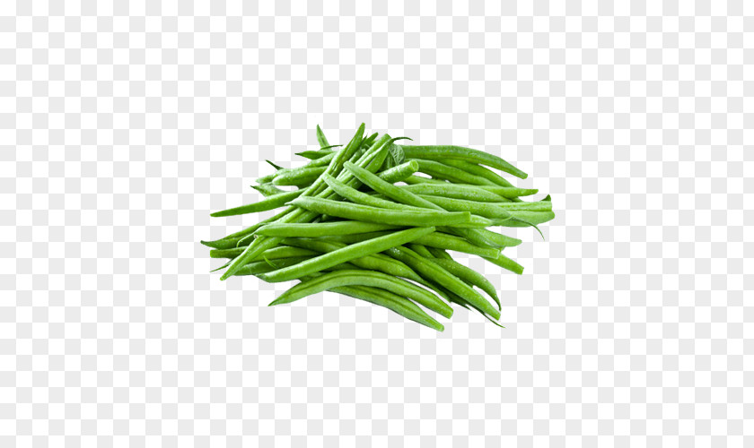 Vegetable Green Bean Organic Food Philippine Adobo PNG