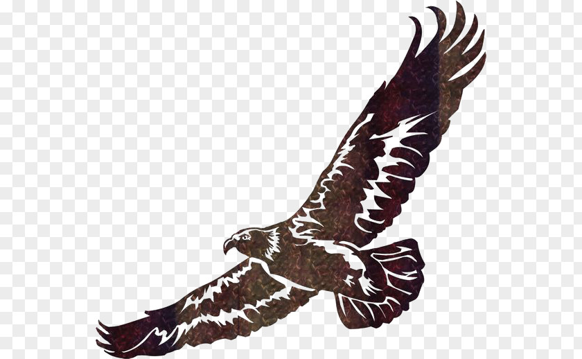 Eagle Wall Art Clip PNG