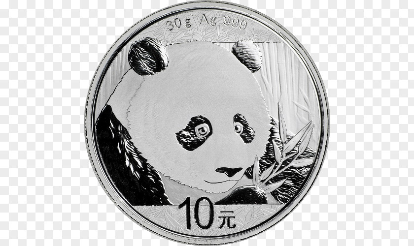 Golden Leaf Panda Giant China Chinese Silver Gold Coin PNG