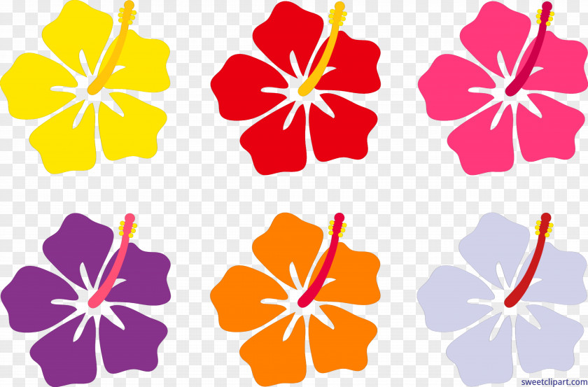 Hibiscus Hawaiian Flower Clip Art PNG