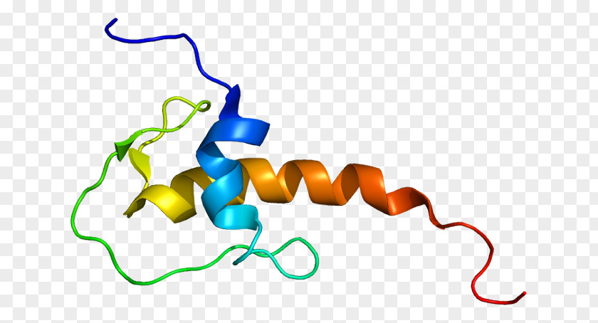 LEKTI-2 Serine Protease Protein PNG