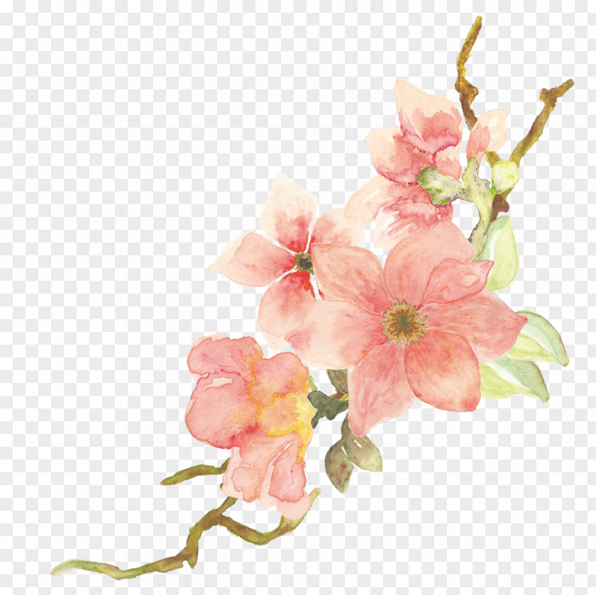 Painting Watercolor Floral Design Watercolor: Flowers Watercolour PNG