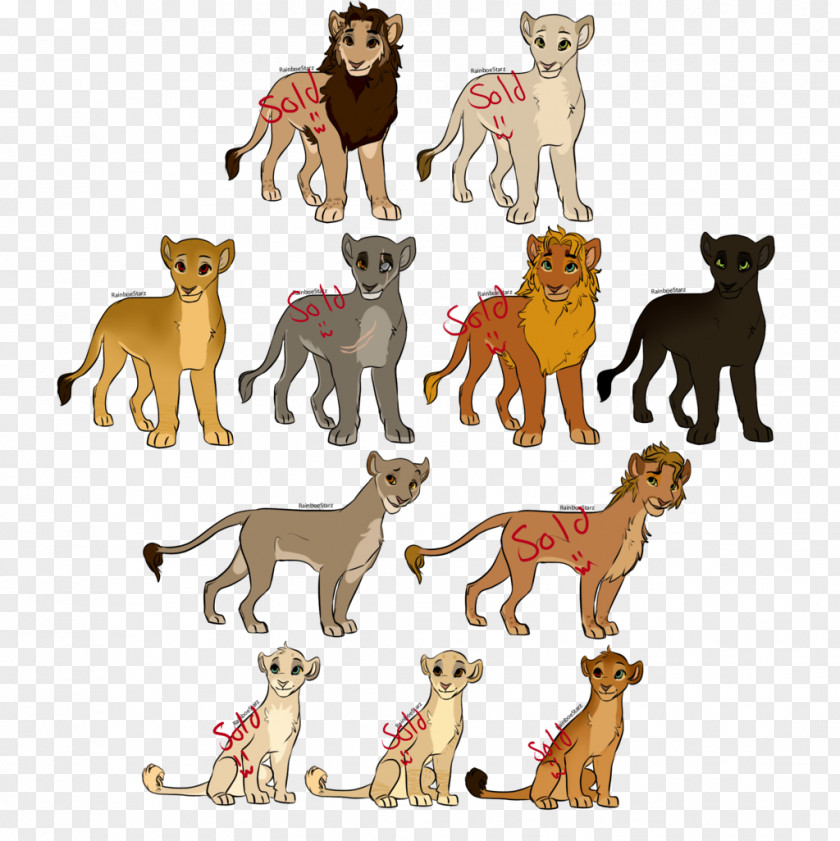 Pride Of Lions Dog Breed Lion Cat Fauna PNG