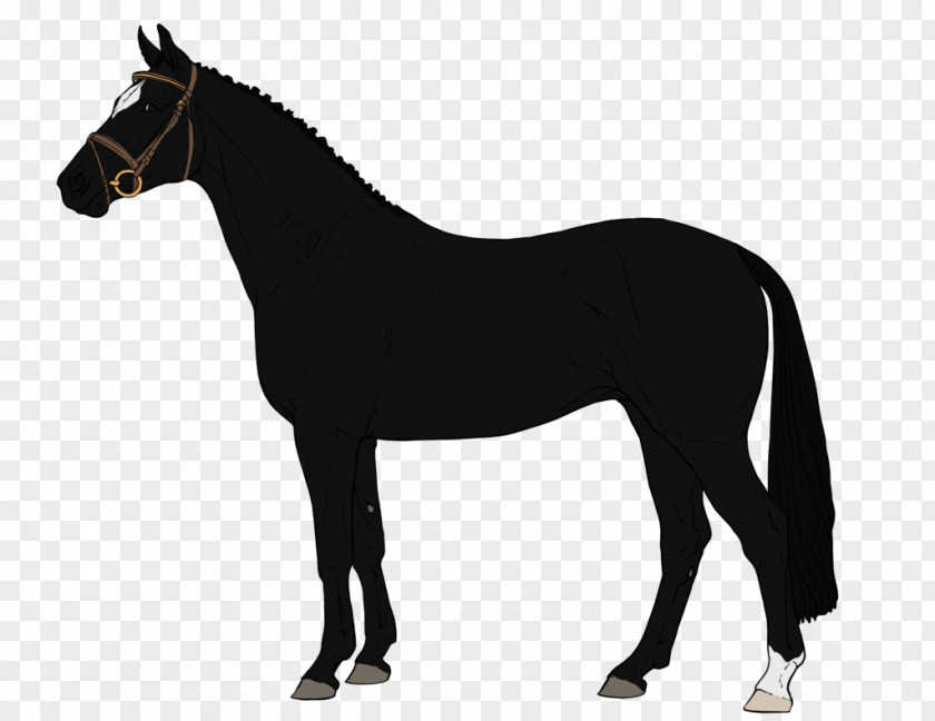 Silhouette Arabian Horse American Miniature Quarter Pony PNG