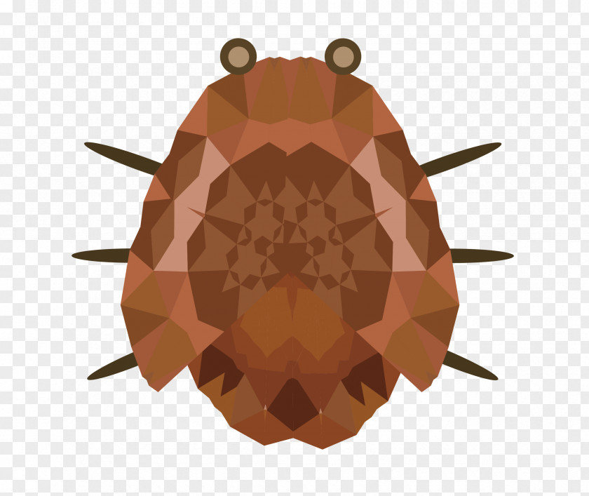 Strange Insect Vector Material Euclidean PNG