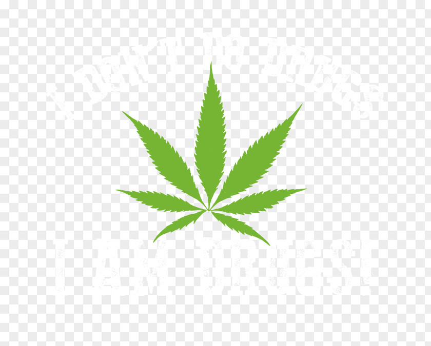 A Piece Of Marijuana Leaves Hash, Marihuana & Hemp Museum Medical Cannabis In India PNG