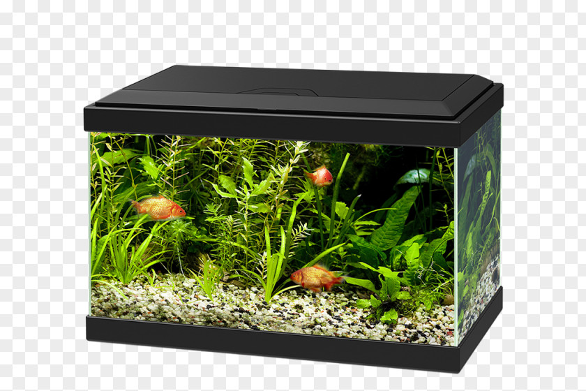 Aquarium Light-emitting Diode Filtration Glass PNG