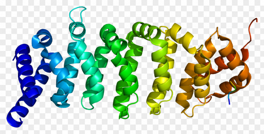Calcium-binding Protein Gene Threonine PNG