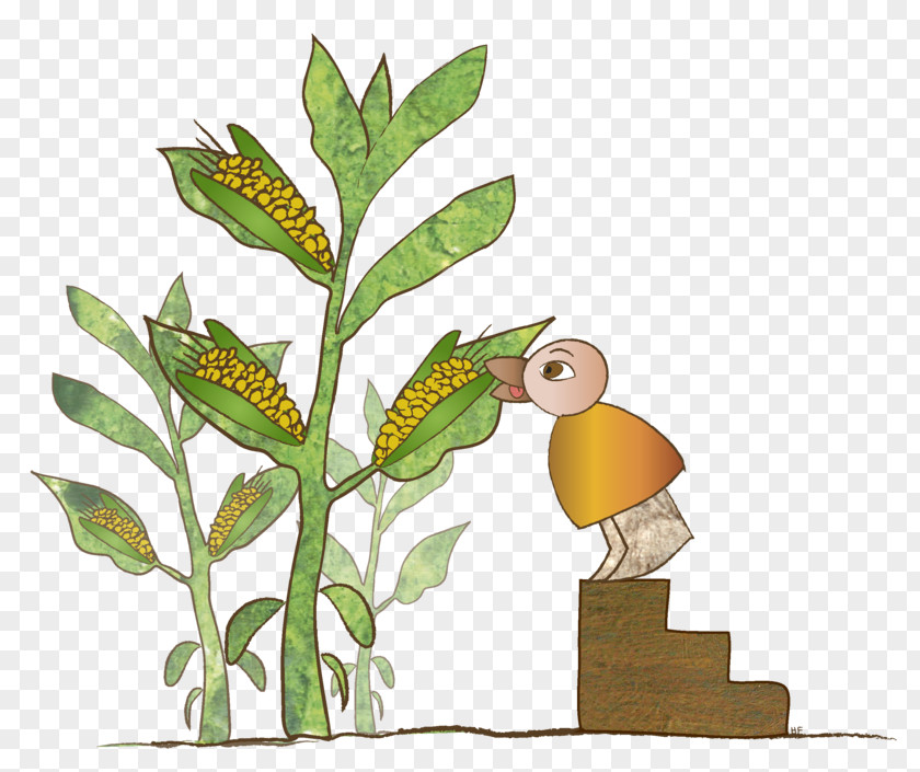 Eating Corn Beak Flora Fauna Clip Art PNG