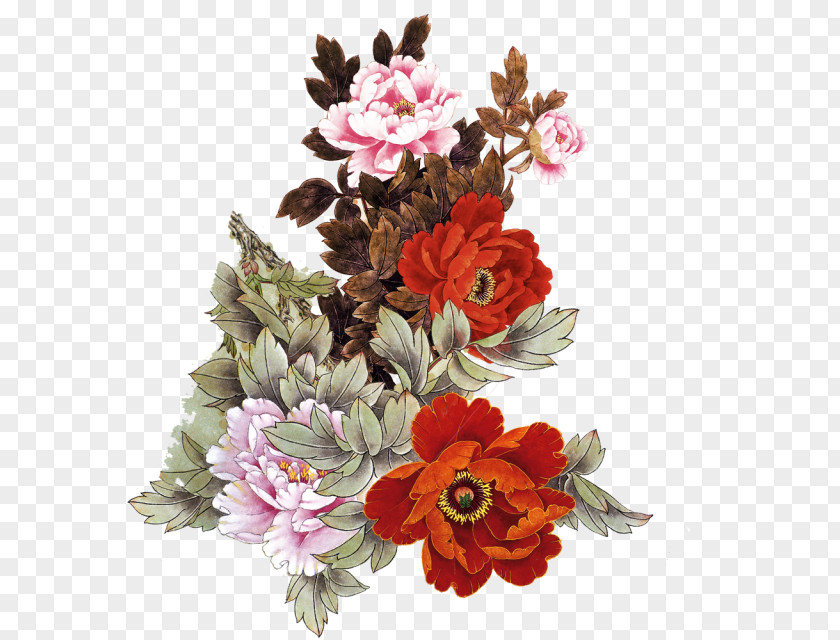 Peony Photos Moutan Flower Google Images Clip Art PNG